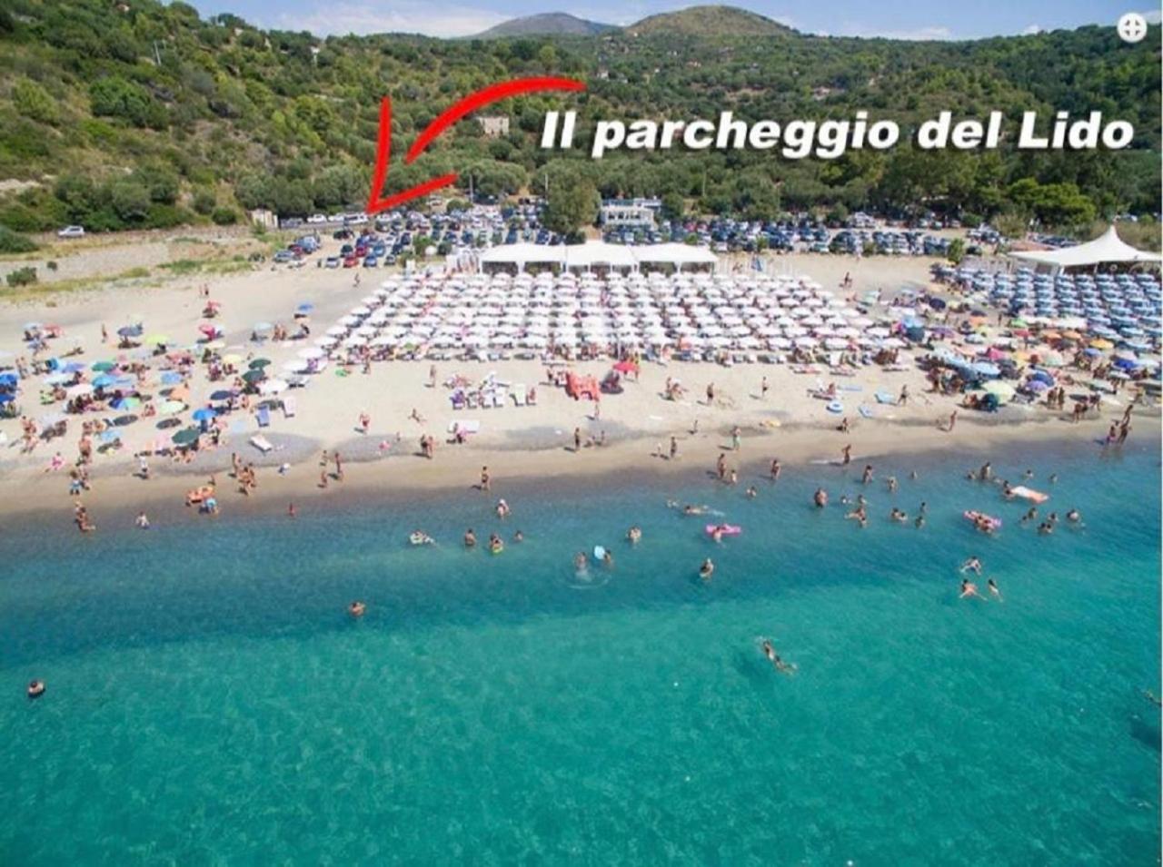 Ferienwohnung Blue Marlin Marina di Camerota Exterior foto
