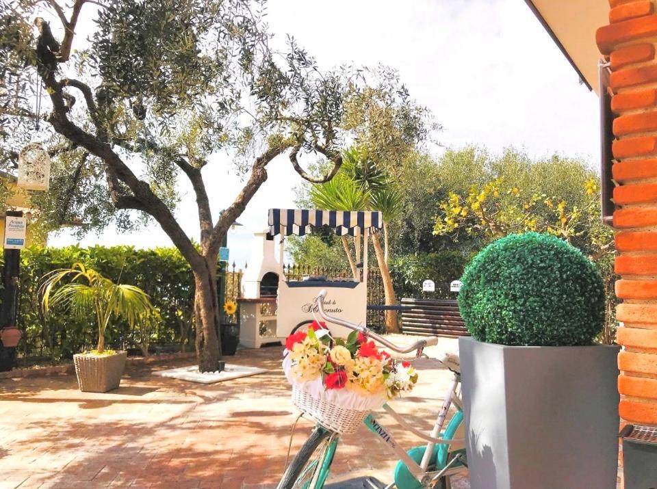 Ferienwohnung Blue Marlin Marina di Camerota Exterior foto