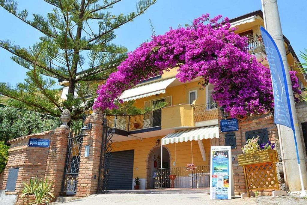 Ferienwohnung Blue Marlin Marina di Camerota Exterior foto